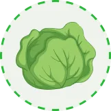 汇聚全球体育精彩，点燃您的激情 - JIUYOUkaihaokang