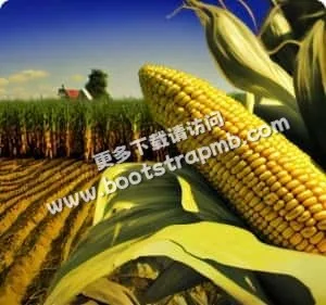用科技赋能体育，连接你我 - JIUYOUkaihaokang
